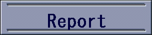 Report