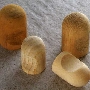 img022.jpg
