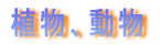 AA
